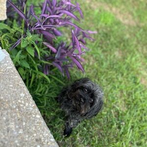 Meet your Posher, Felicia